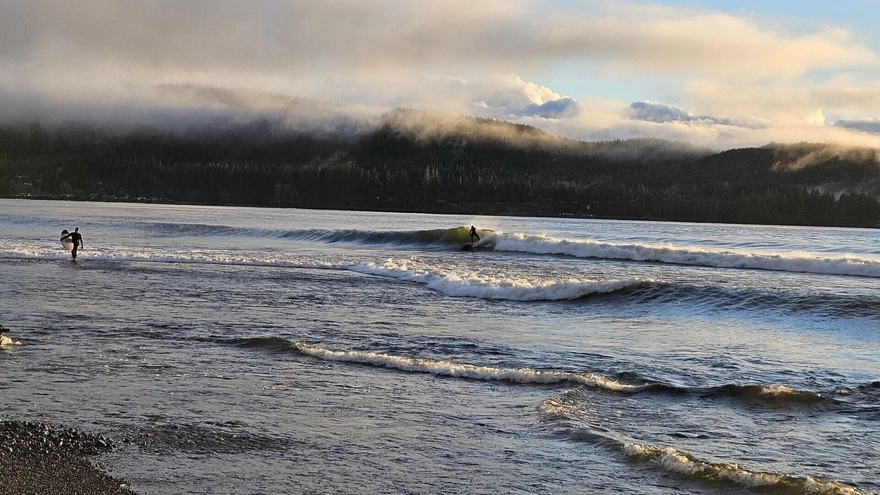 Photo of Others in Port Renfrew