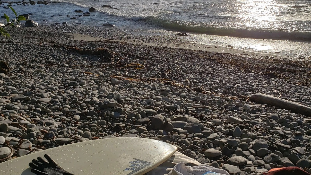 Photo of Others in Port Renfrew