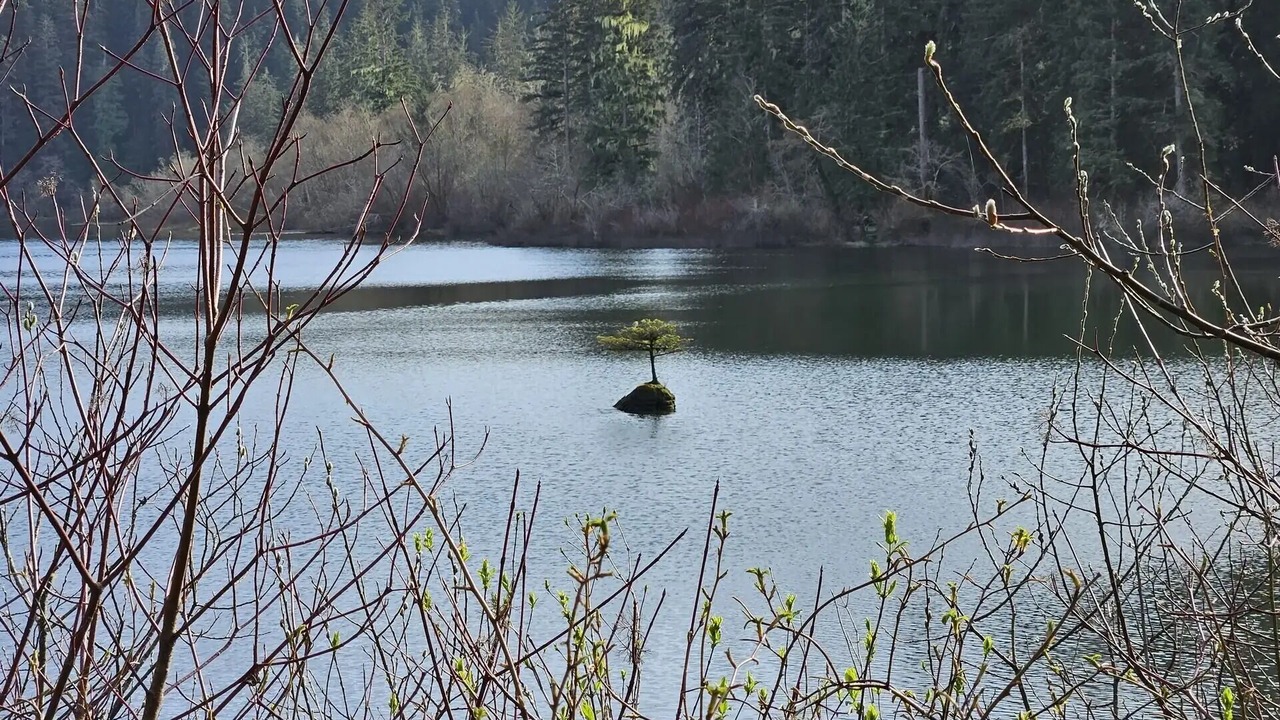 Photo of Outdoor in Port Renfrew