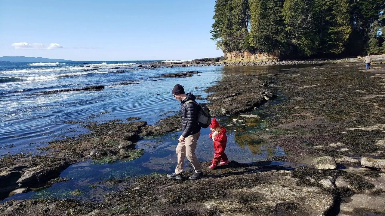 Photo of Others in Port Renfrew