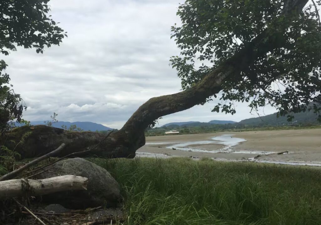 Photo of Others in Cowichan Bay