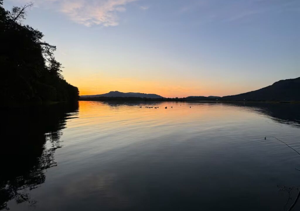 Photo of Others in Cowichan Bay