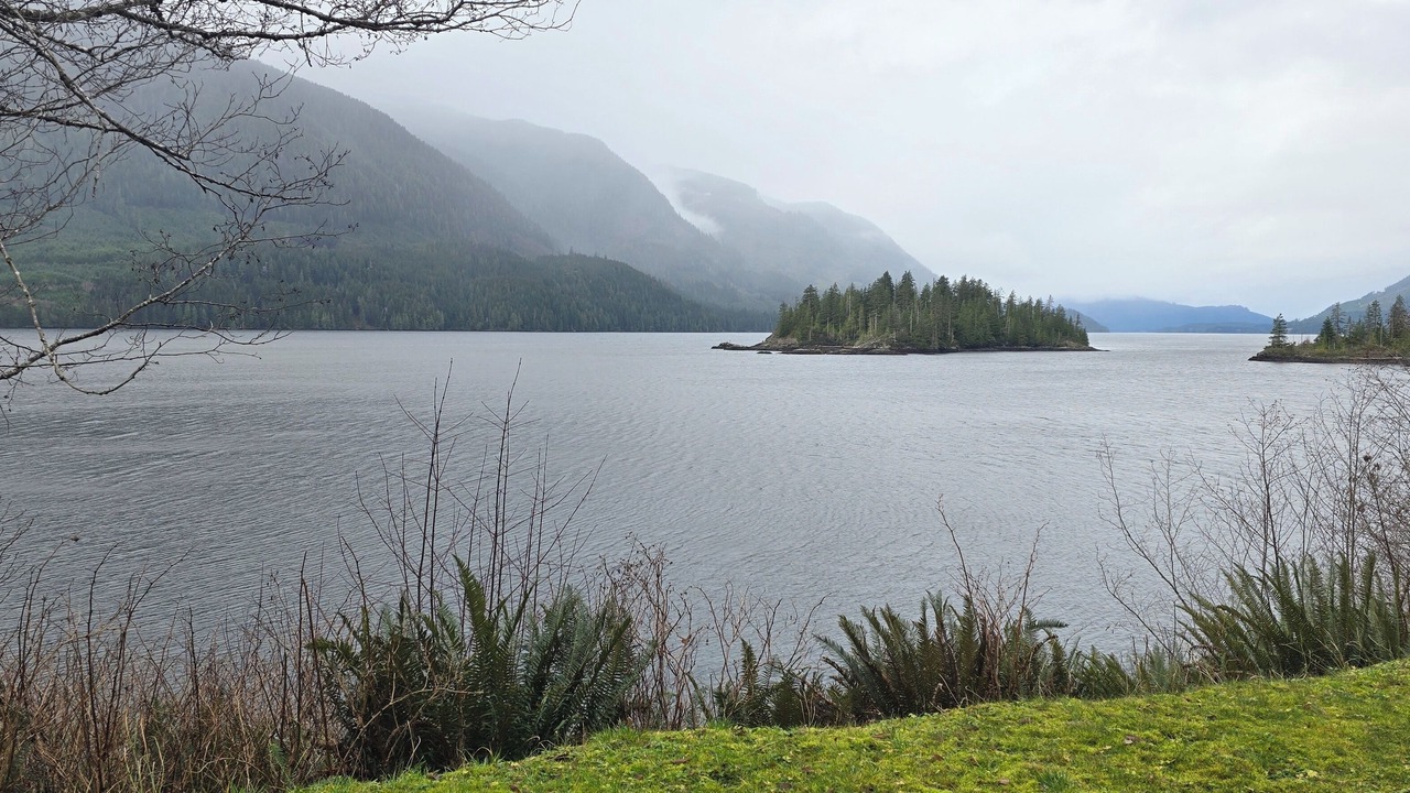 Photo of Others in Port Alice