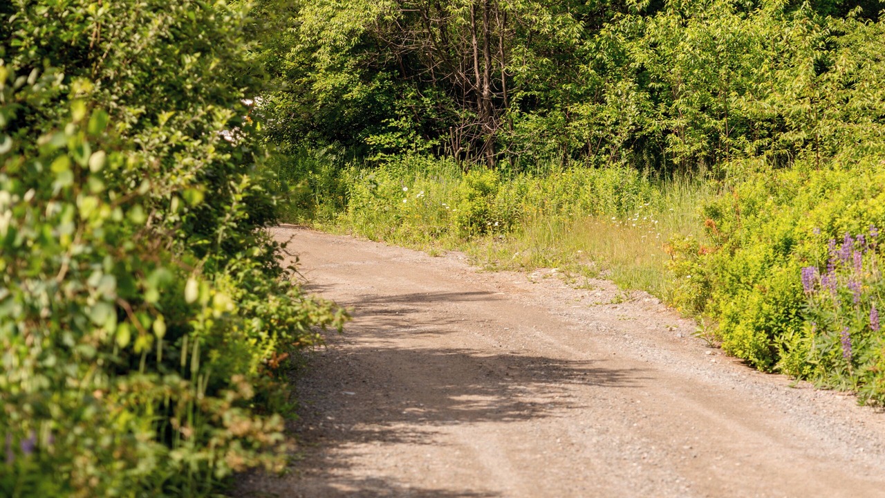 Photo of Others in Eastport