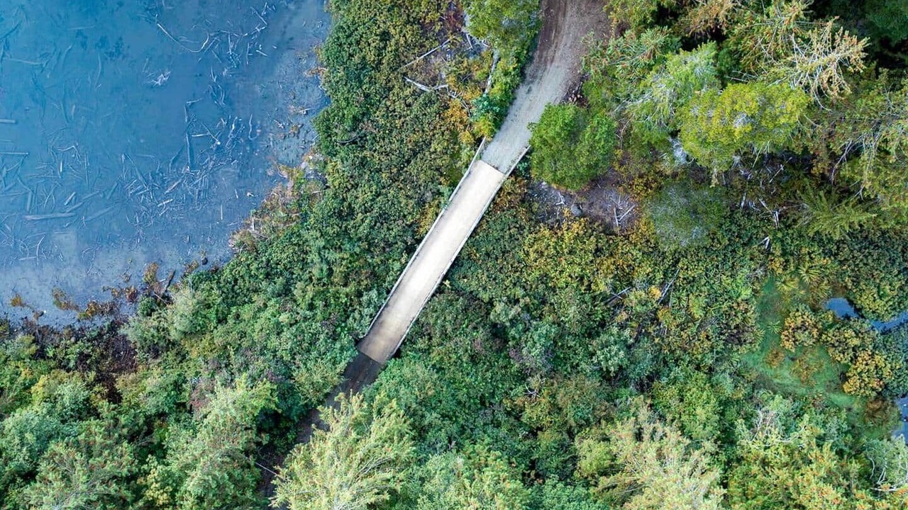 Photo of Others in Sproat Lake