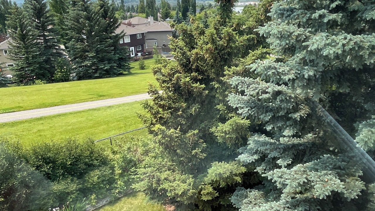 Photo of Outdoor in Southeast Calgary