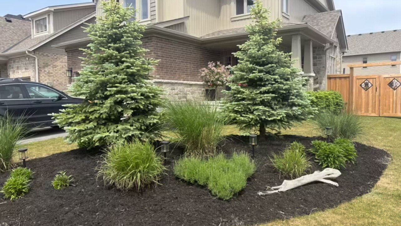 Photo of Outdoor in Collingwood