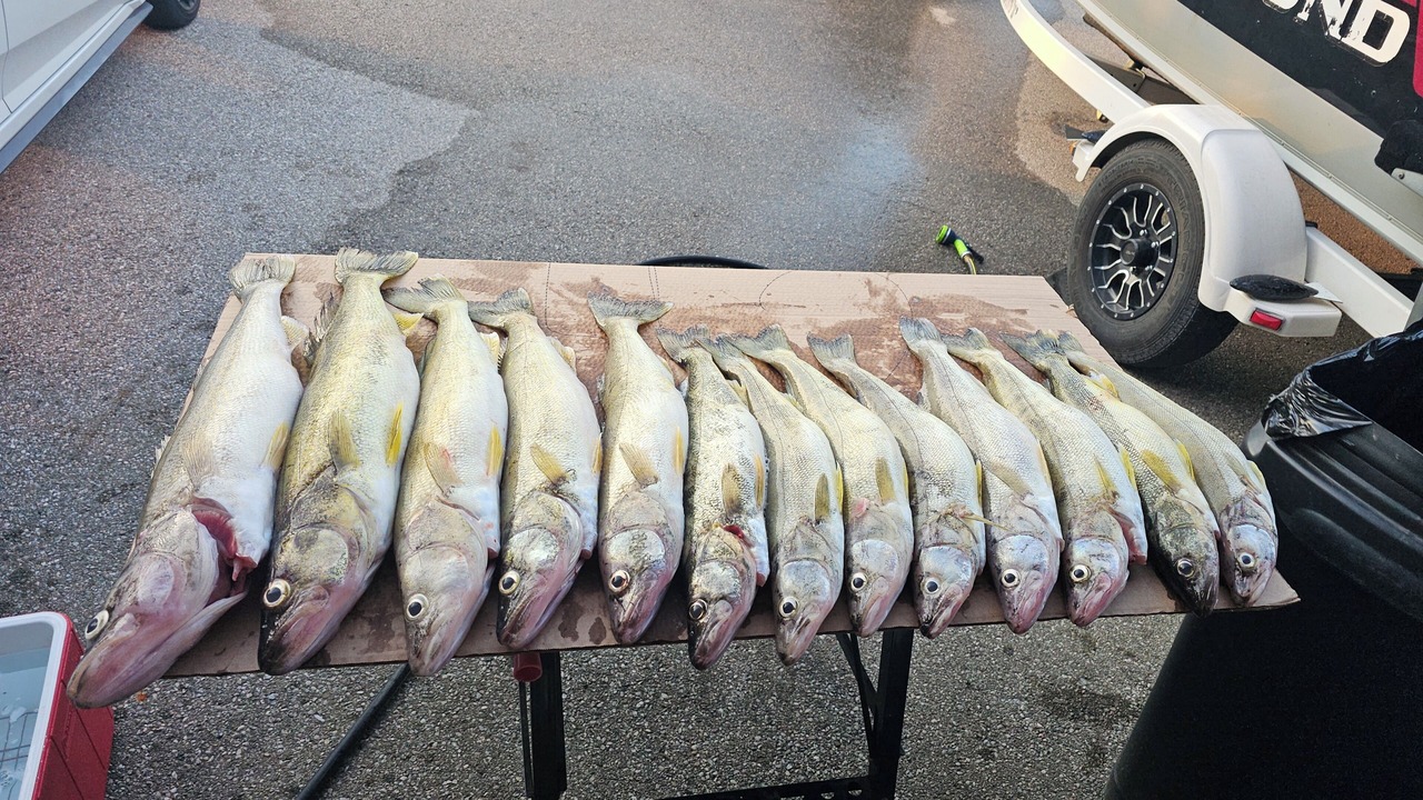 Photo of Others in Turkey Point