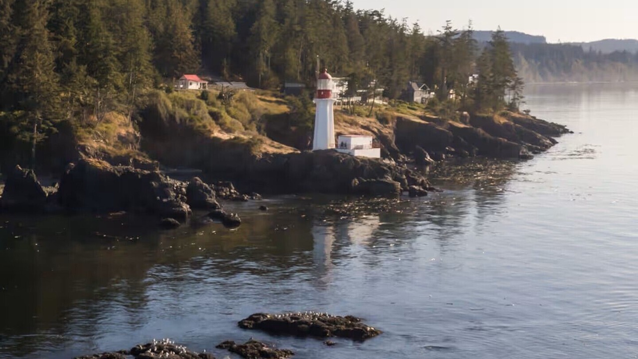 Photo of Others in Sooke