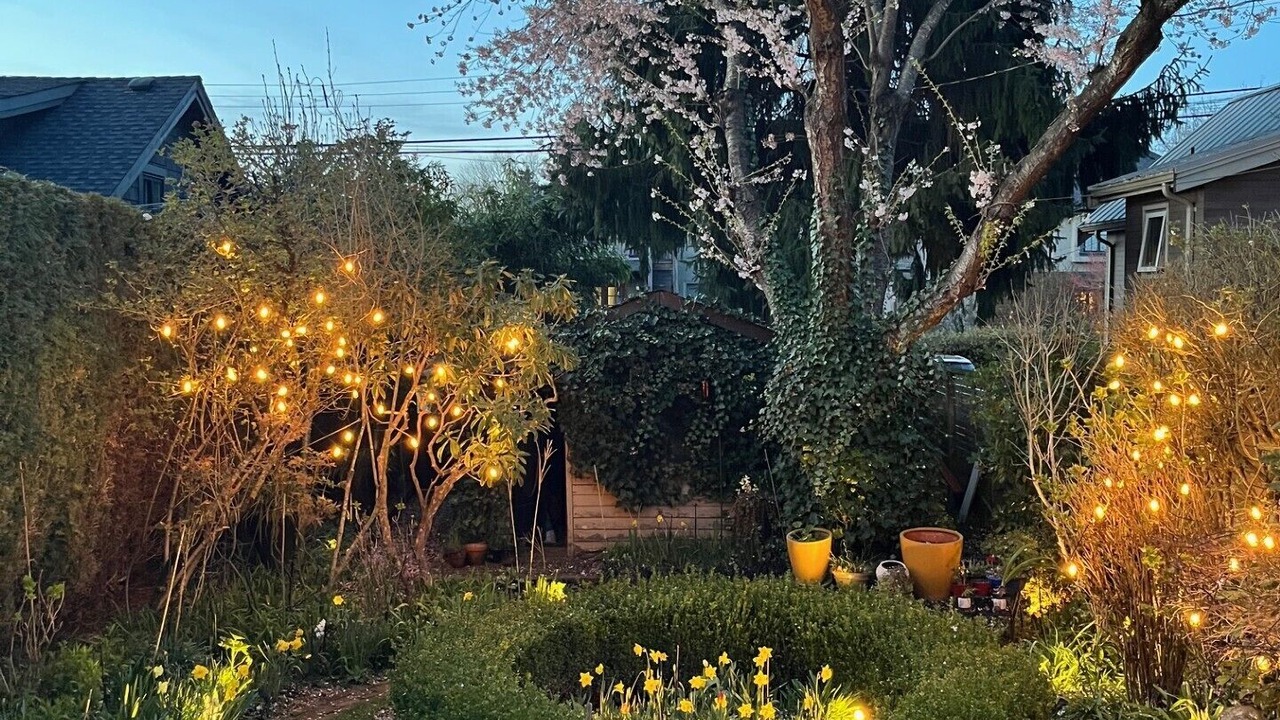 Photo of Outdoor in Riley Park-Little Mountain