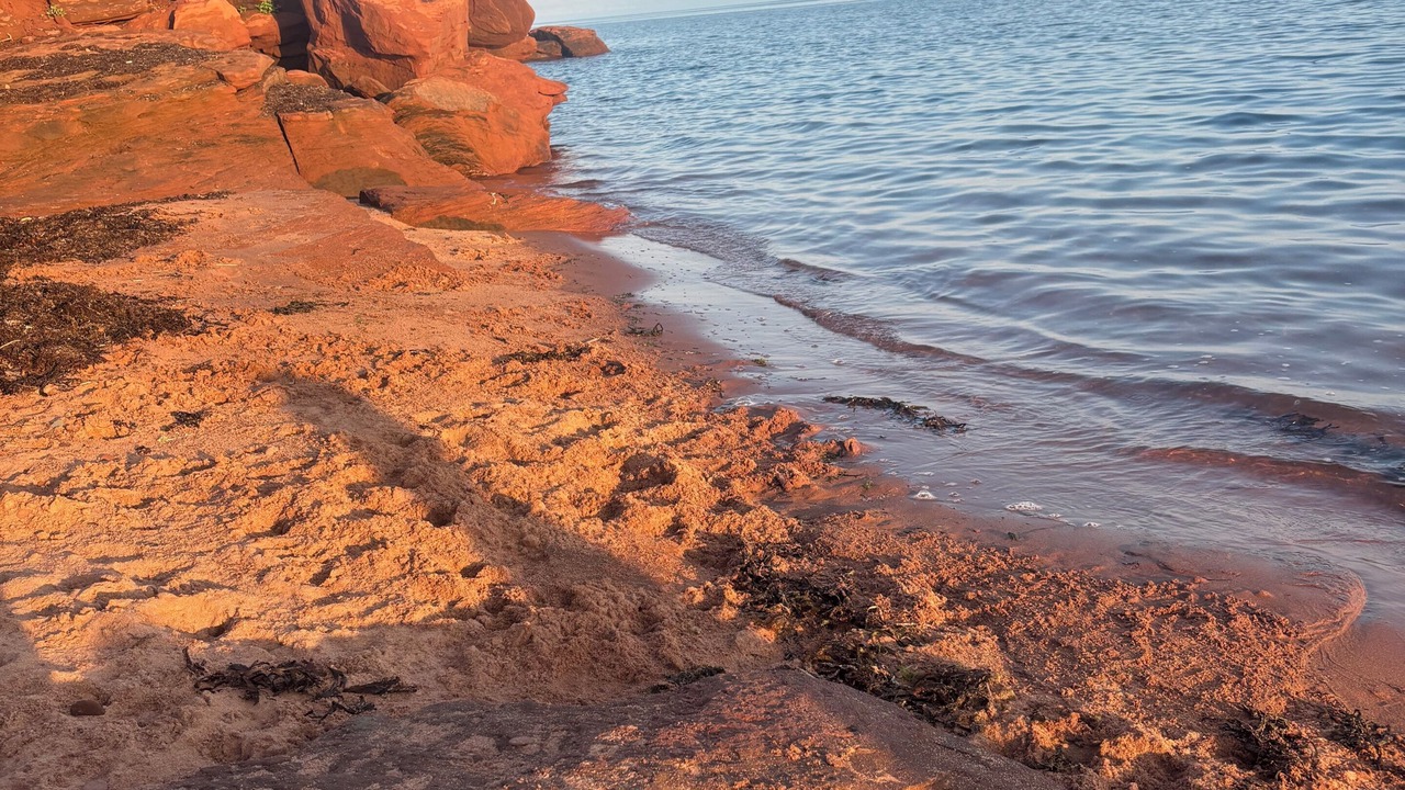 Photo of Others in Argyle Shore