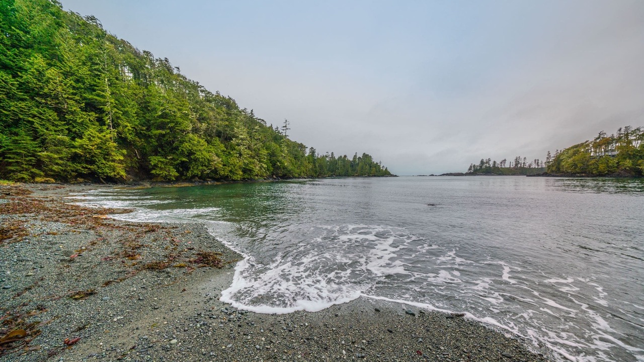 Photo of Others in Ucluelet