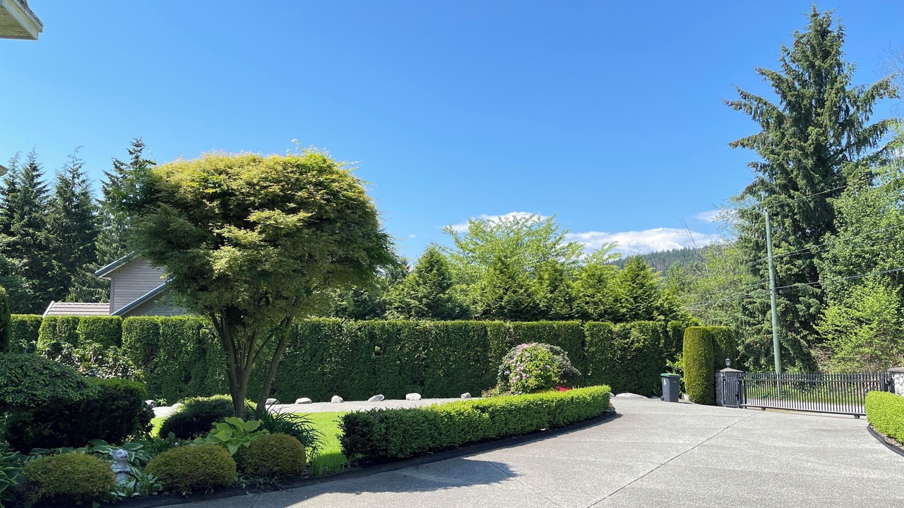 Photo of Outdoor in Anmore