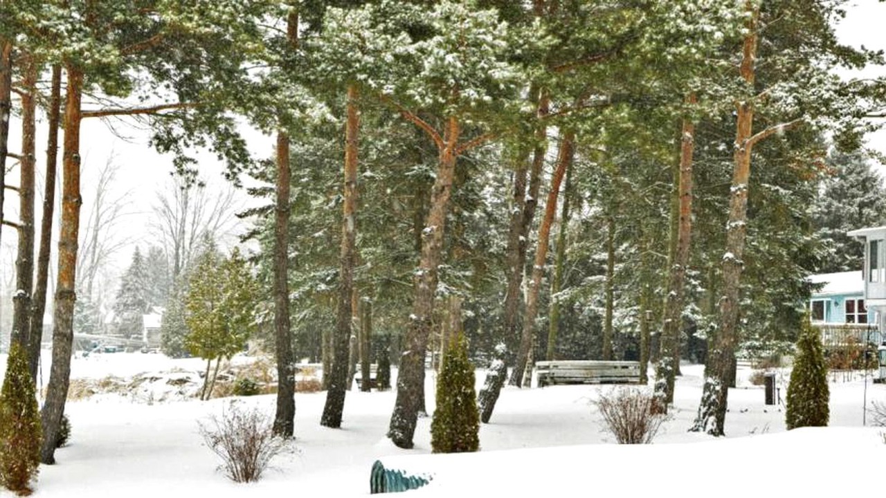 Photo of Outdoor in Janetville