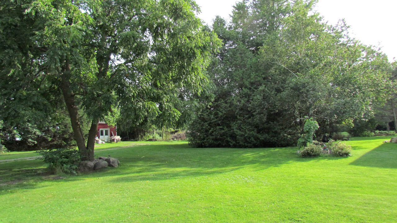 Photo of Outdoor in North Dundas
