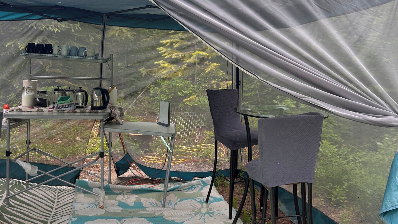 Photo of Outdoor in Golden