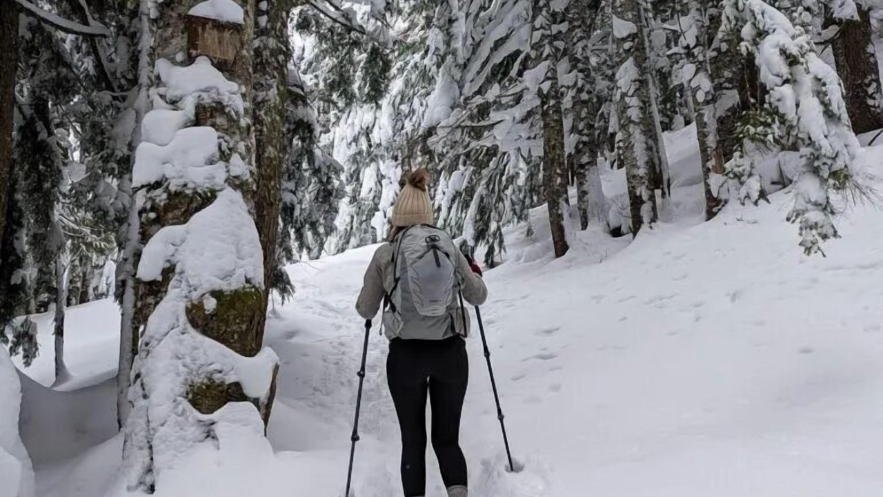 Photo of Others in Okanagan-Similkameen
