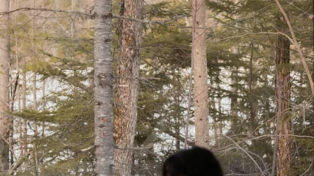Photo of Outdoor in Mauricie