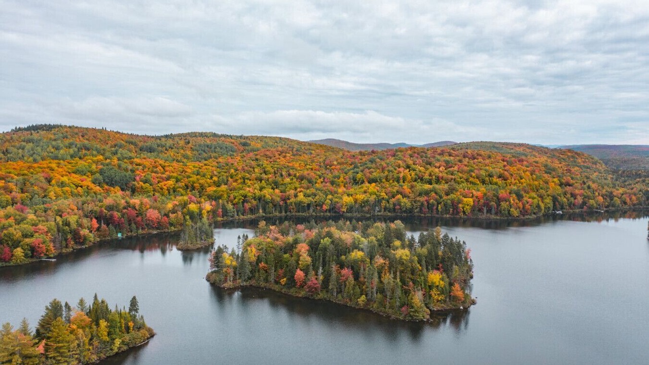 Photo of Others in Mauricie