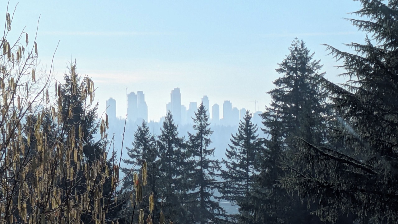 Photo of Others in Coquitlam
