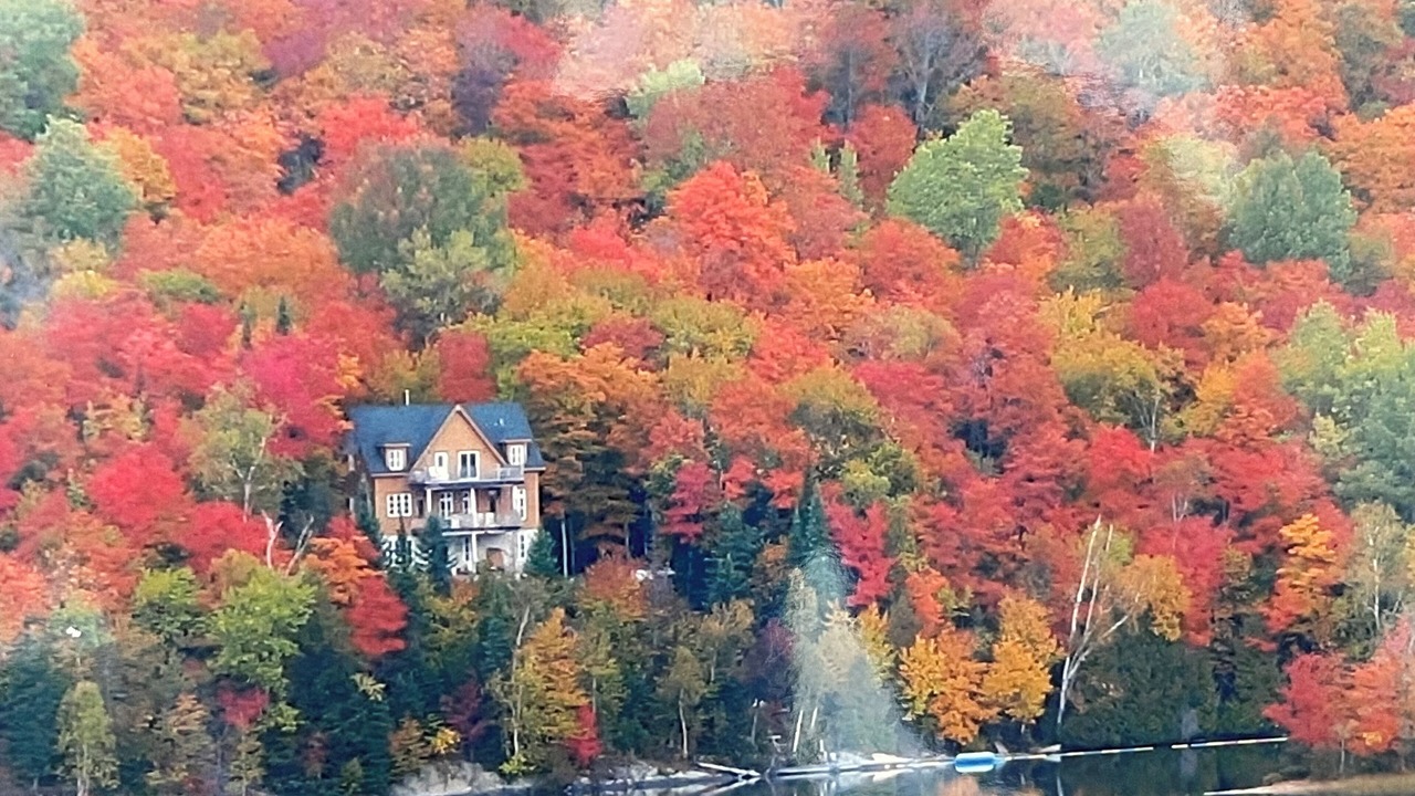 Photo of Others in Lac-des-Plages