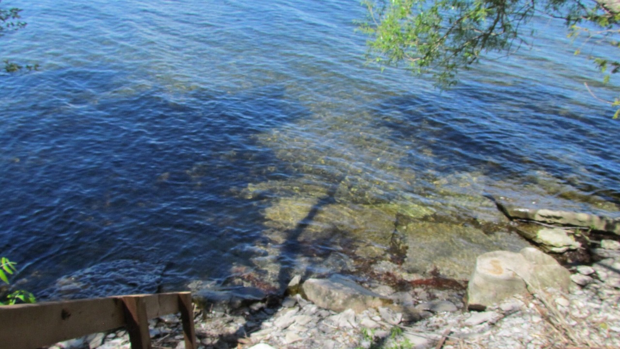 Photo of Outdoor in Loyalist