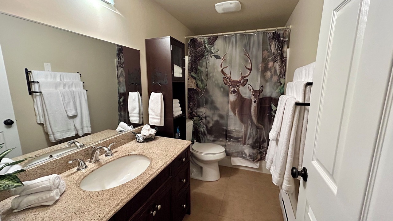 Photo of Bathroom in Lac Le Jeune