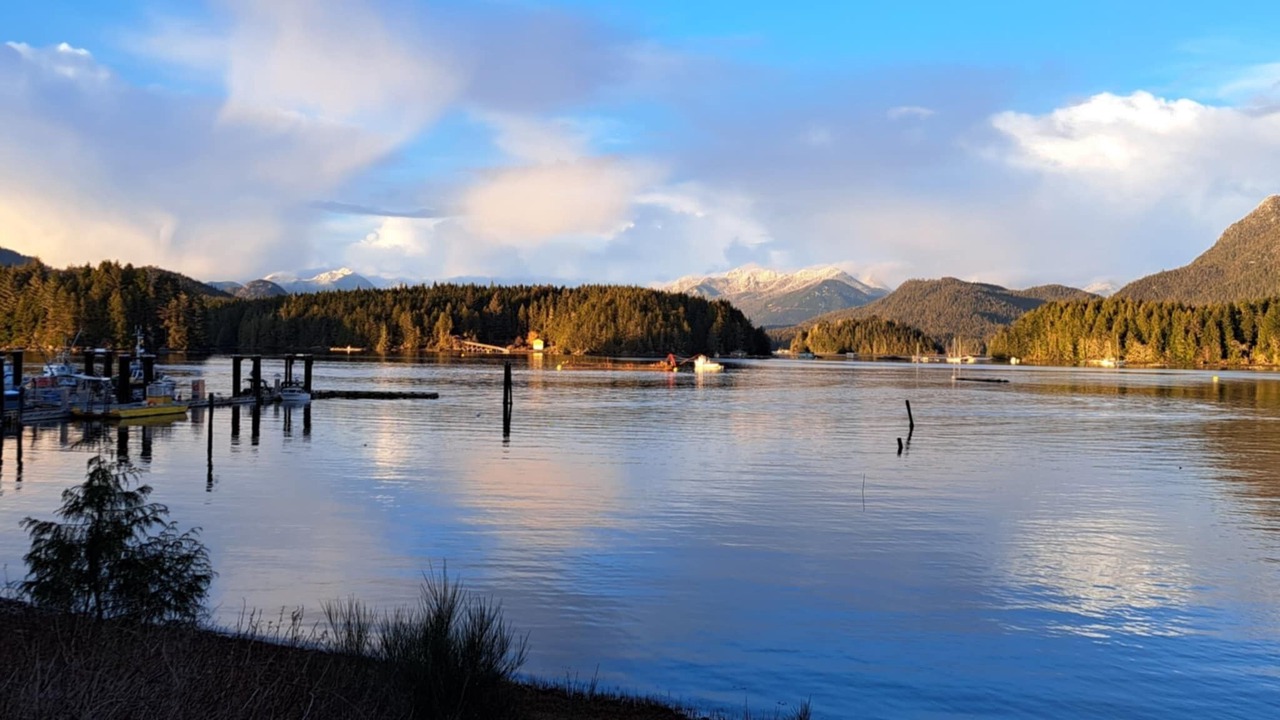 Photo of Others in Tofino