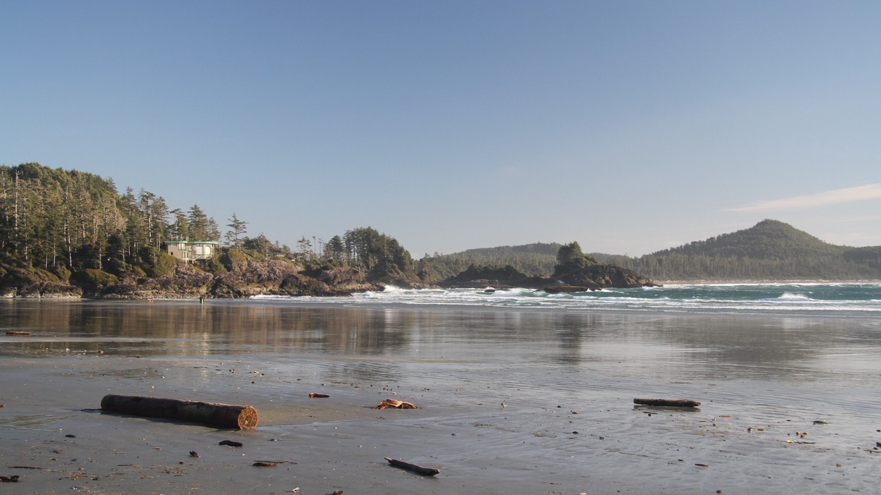 Photo of Others in Tofino