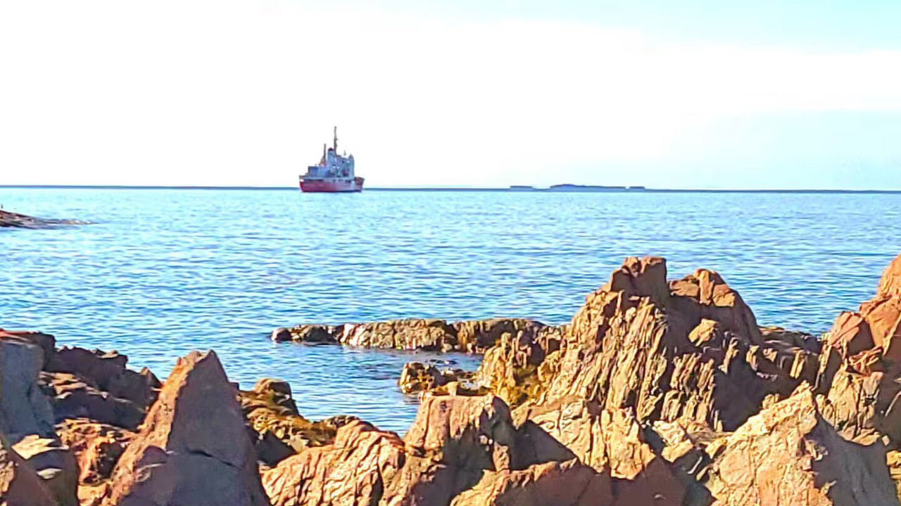 Photo of Others in Fogo Island
