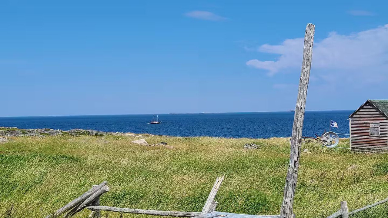 Photo of Others in Fogo Island