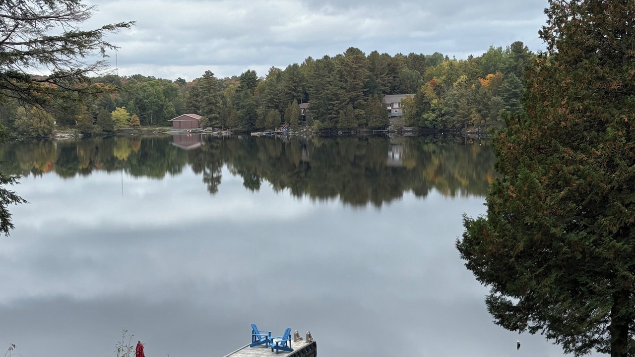 Photo of Others in McKellar