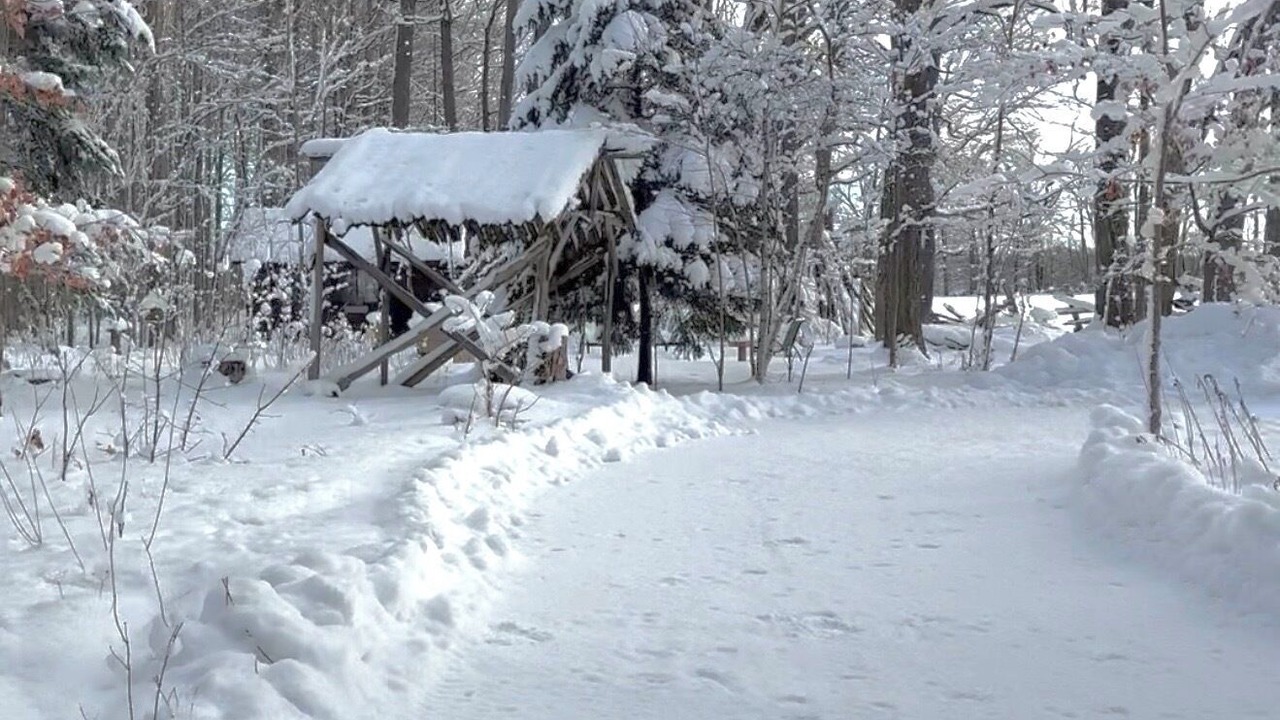 Photo of Others in Bradford West Gwillimbury