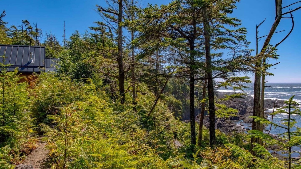 Photo of Outdoor in Ucluelet