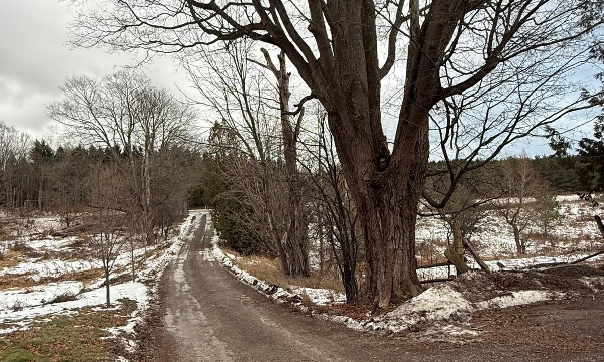 Photo of Others in Clarington