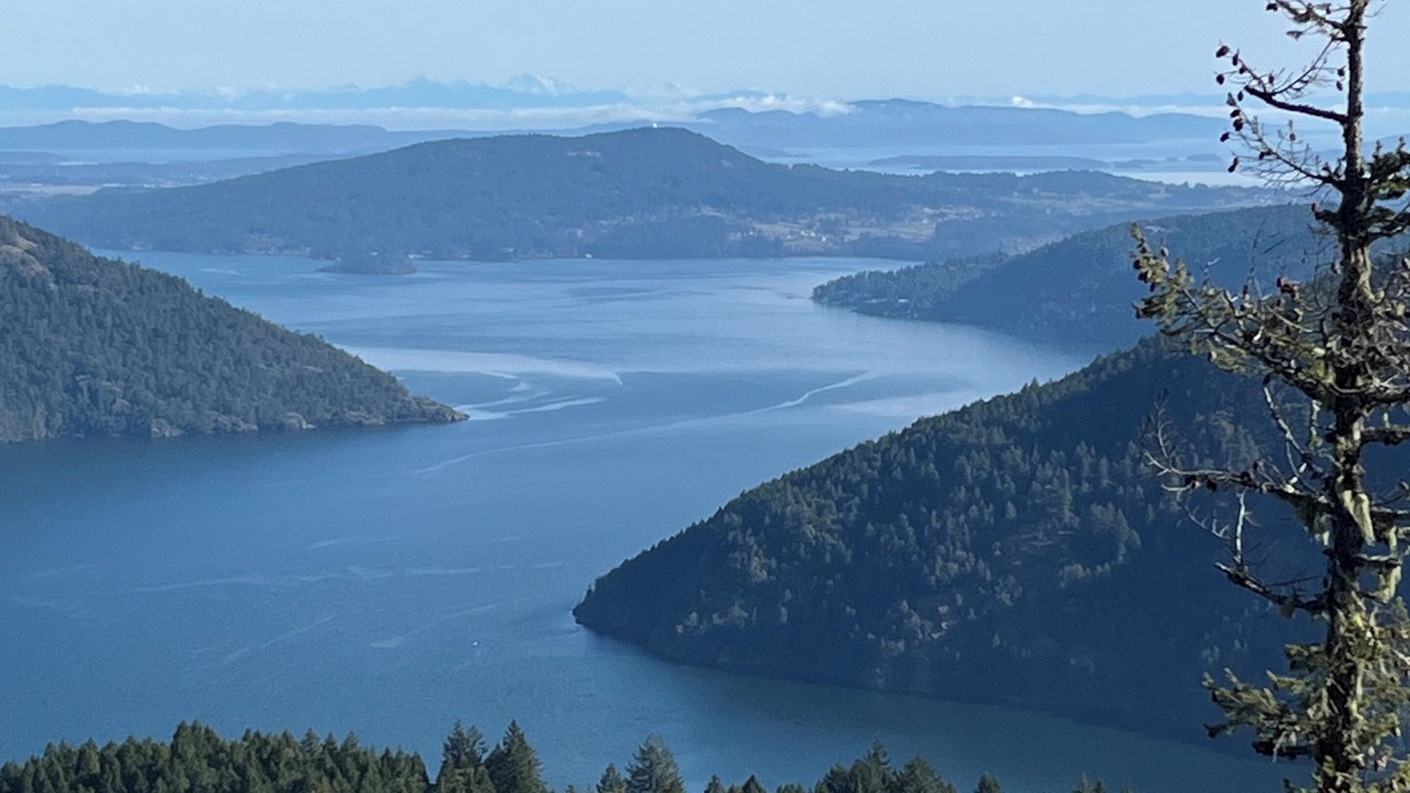 Photo of Others in Malahat