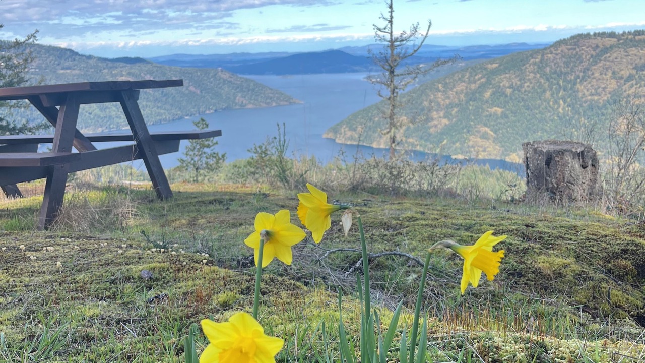 Photo of Others in Malahat