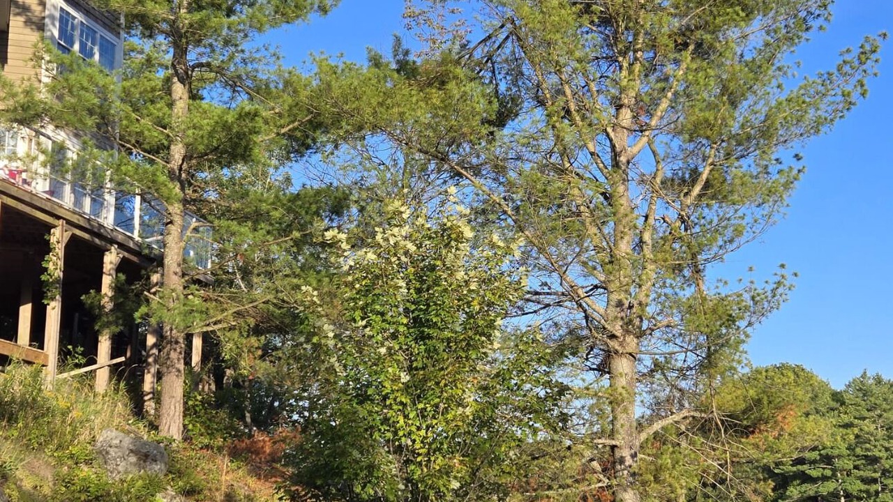 Photo of Outdoor in Gravenhurst