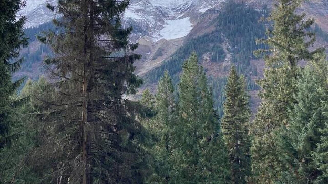 Photo of Others in Golden