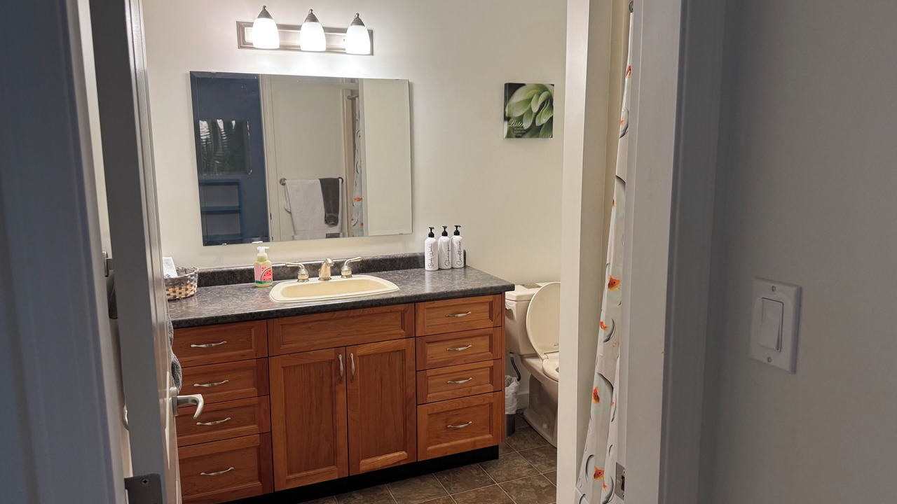 Photo of Bathroom in Youbou