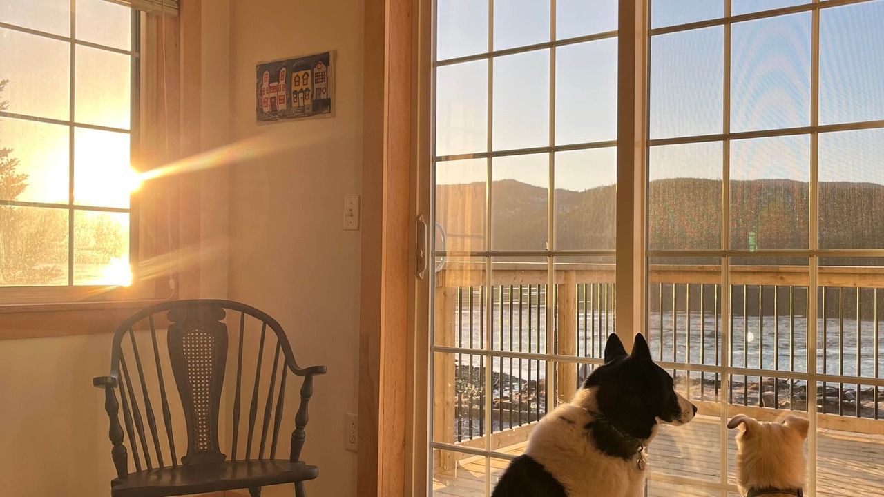 Photo of Others in Woody Point
