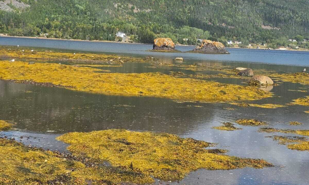 Photo of Others in King's Point