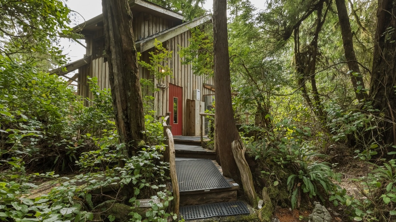 Photo of Others in Tofino