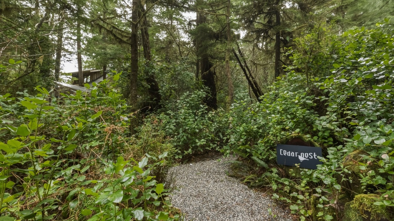 Photo of Others in Tofino