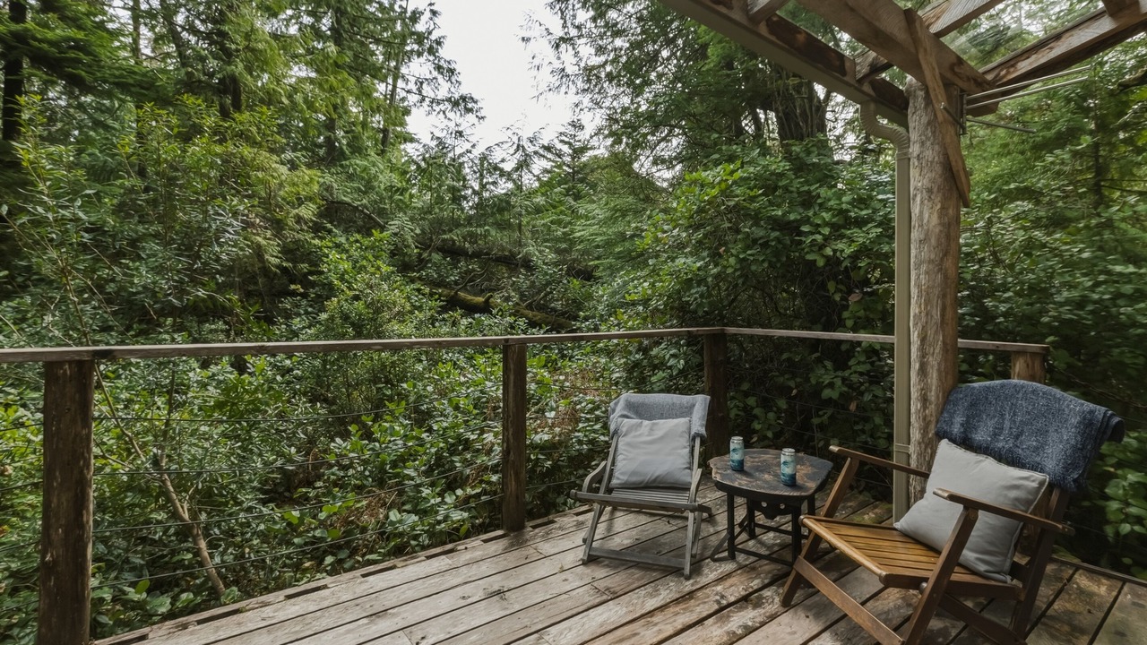 Photo of Others in Tofino