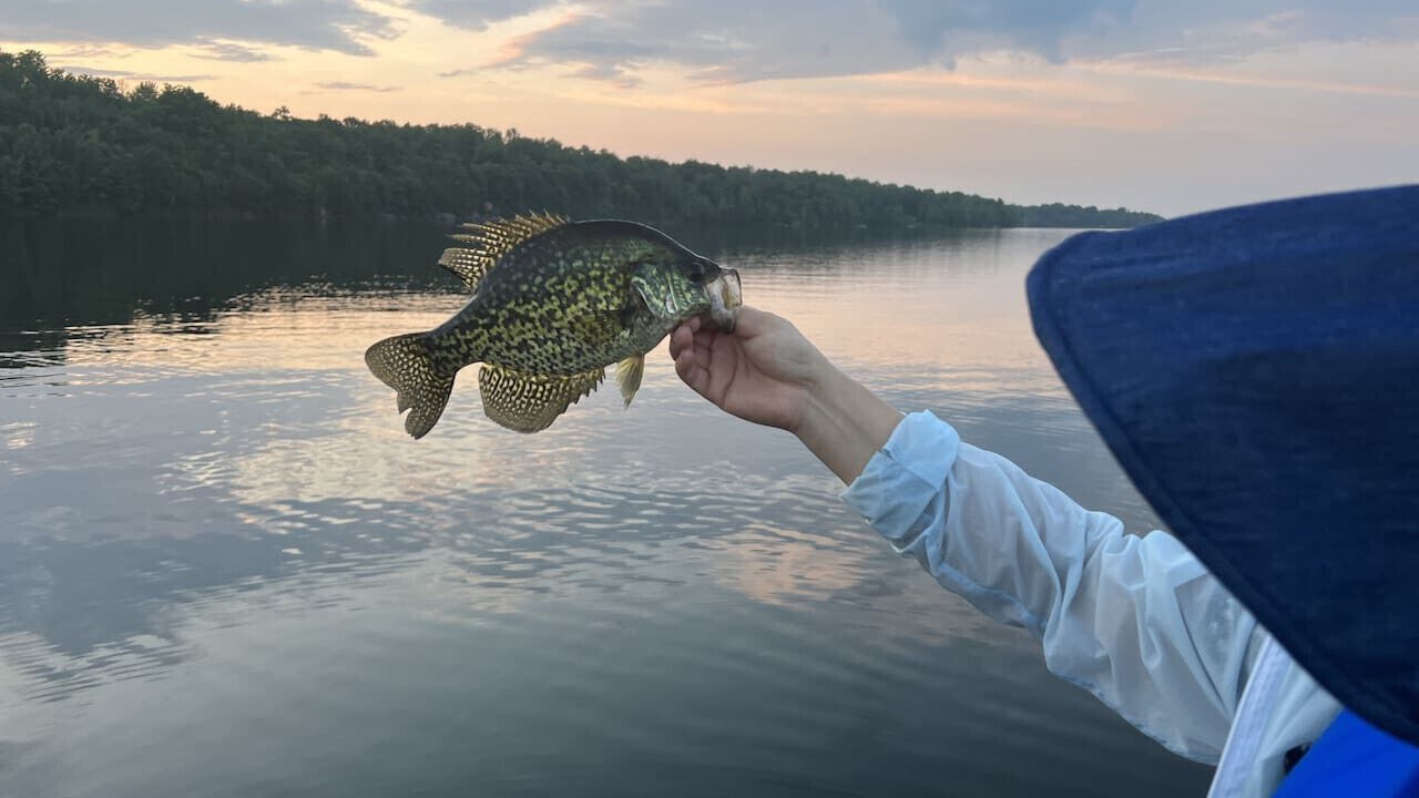 Photo of Others in Rideau Lakes