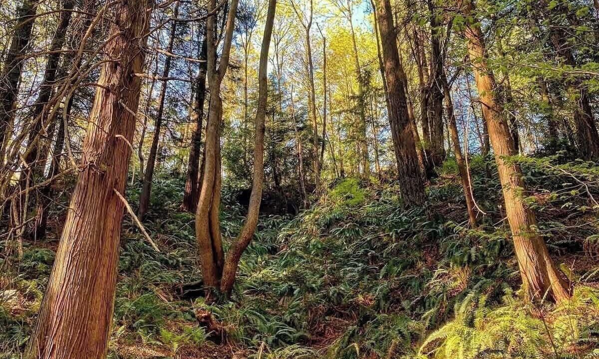 Photo of Others in Burnaby