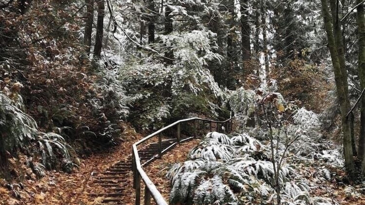 Photo of Others in Burnaby