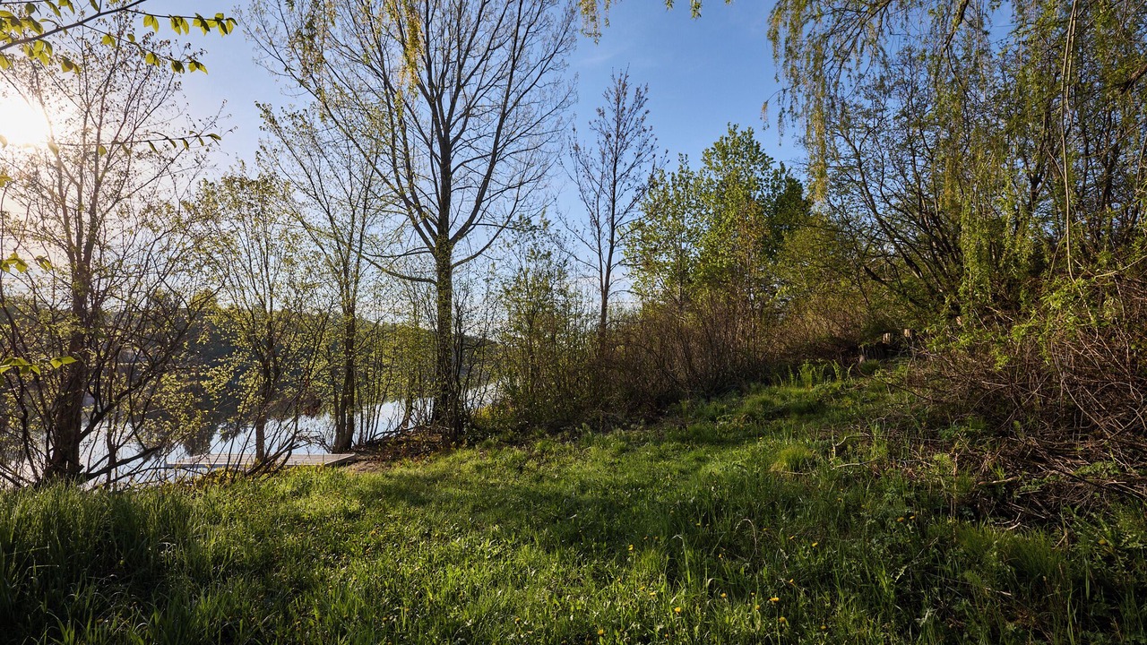 Photo of Others in Mauricie
