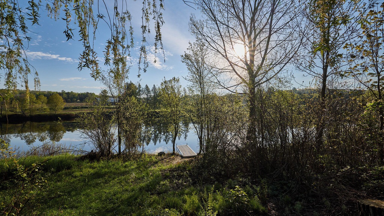 Photo of Others in Mauricie